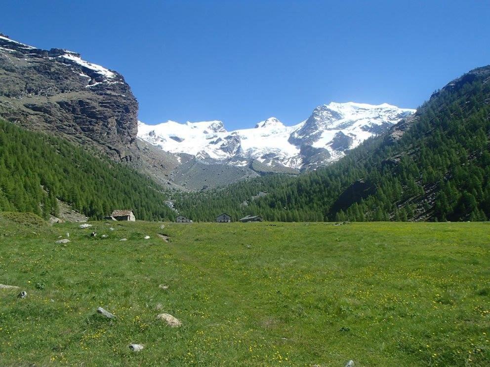 Residence Les Coupoles Champoluc Eksteriør bilde